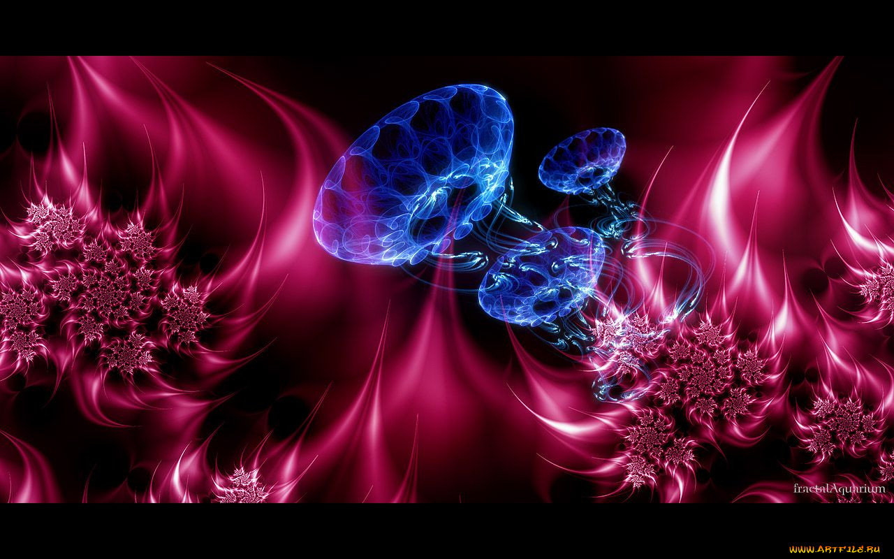 3, , fractal, 